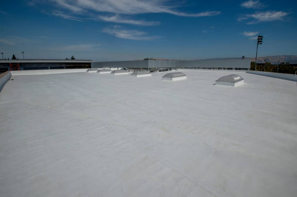 Best Skylight Installation and Repair  in Egypt, PA