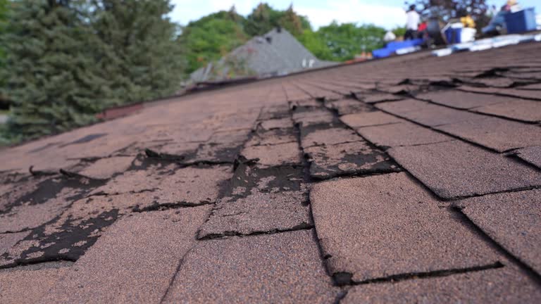 Best Roof Maintenance and Cleaning  in Egypt, PA