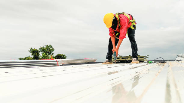 Best Roof Coating and Sealing  in Egypt, PA